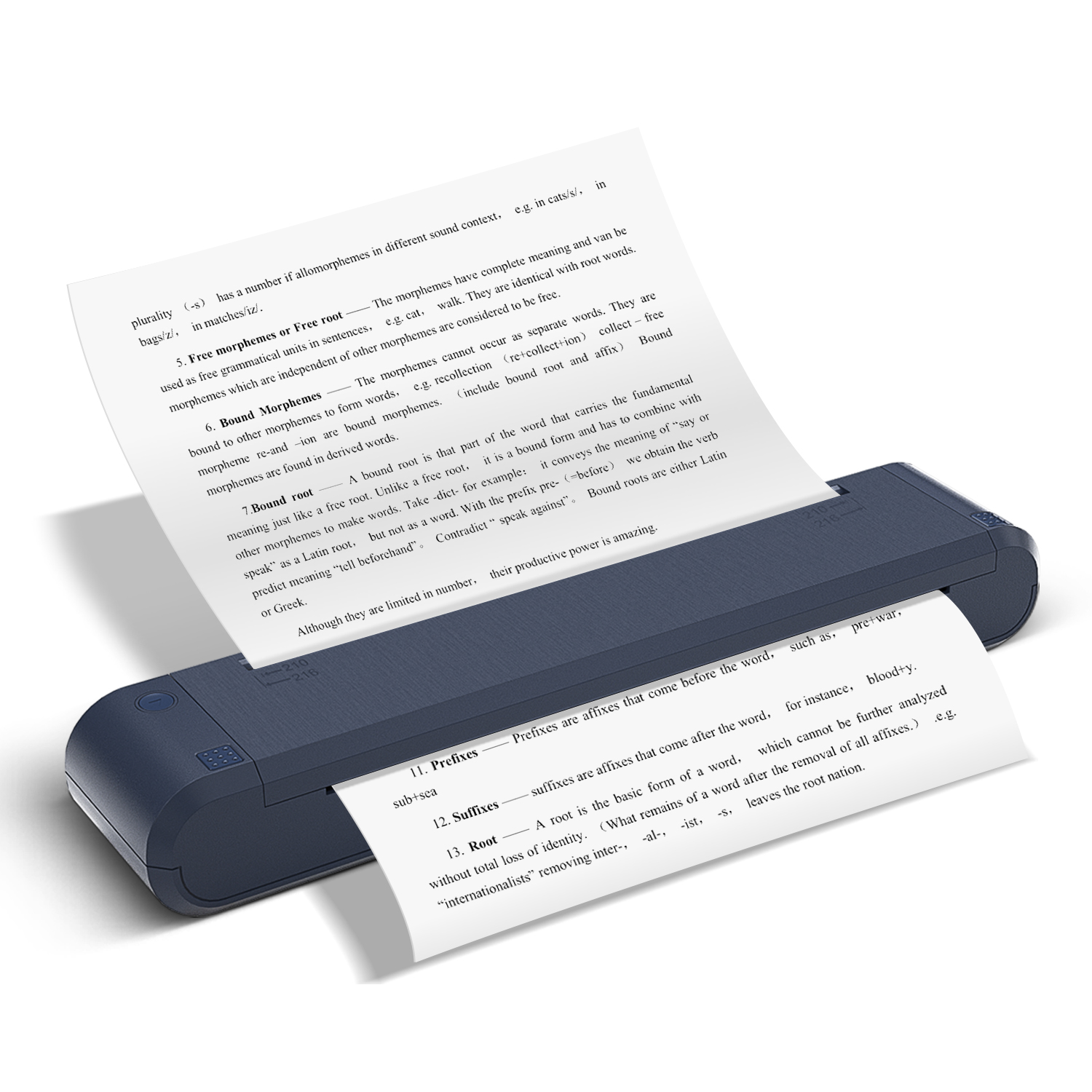 Stampante a Nastro A4 Stampant - Commercial Document Printing recensione e prezzo